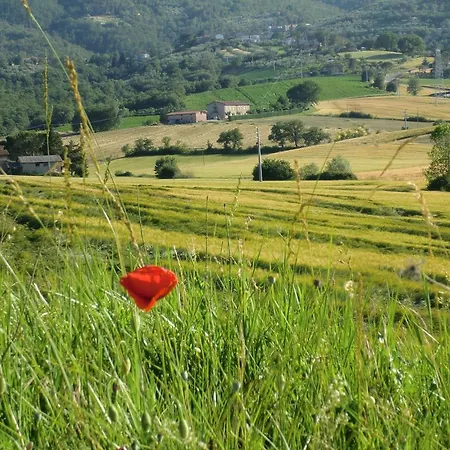 Il Piccolo Noce * Pietrafitta (Perugia)