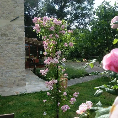 Il Piccolo Noce Pietrafitta (Perugia)