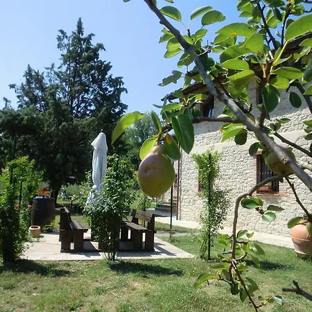 Casa Vacanze Il Piccolo Noce *